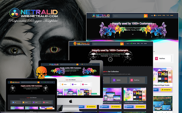 Style Netralid Version 3 Responsive Blogger Template