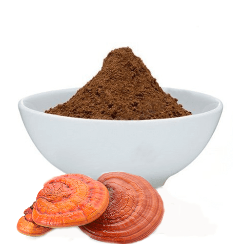 GANODERMA MUSHROOM POWDER- 4000 RS/100 GM PACK