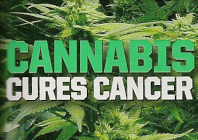 óleo de Cannabis - cannabis cura cancer