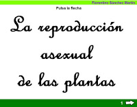 http://cplosangeles.juntaextremadura.net/web/edilim/tercer_ciclo/cmedio/las_plantas/la_reproduccion_asexual_plantas/la_reproduccion_asexual_plantas.html