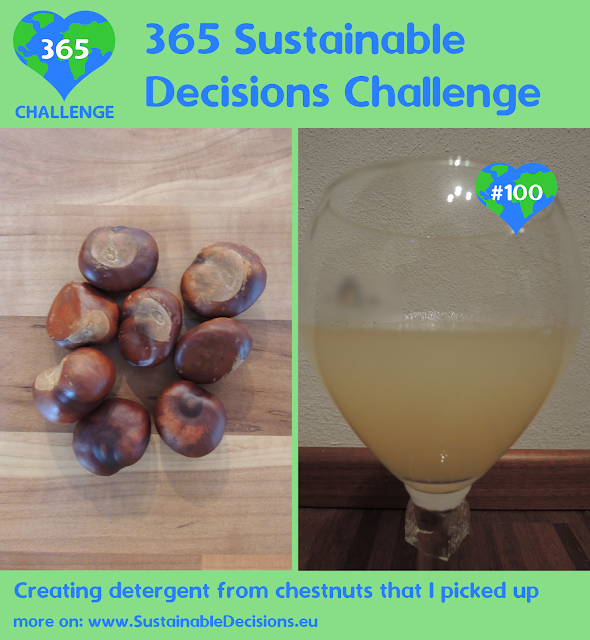 Creating detergent from chestnuts that I picked up reducing plastic waste reducing waste