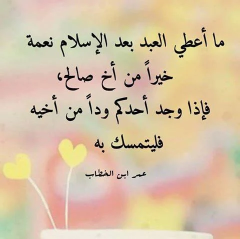 صور انستقرام 