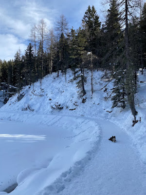 Dolomiti: Lago di Misurina con la neve