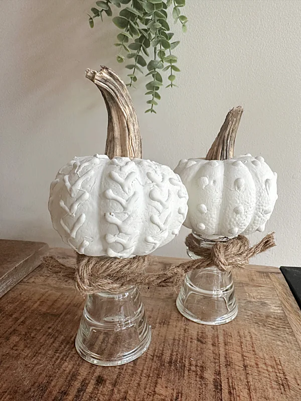 pumpkins with real stems on glass pedestals
