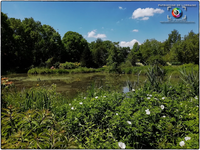 GELAUCOURT (54) - Jardin d'eau de l'Aubepré