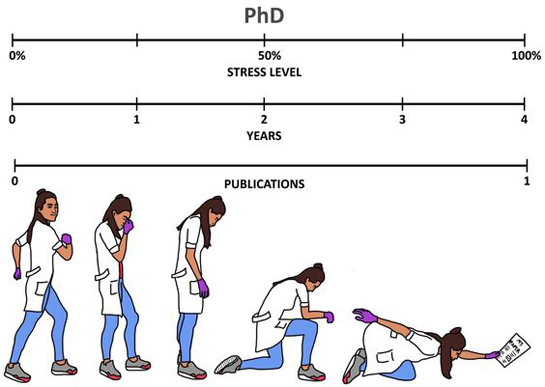 Today Science Humor 11: PhD Life 