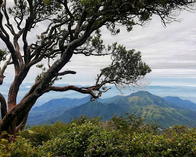 Ini Dia Deretan Tempat Wisata Terhits di Blora Jateng yang Wajib Dikunjungi Saat Liburan