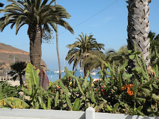 Catalina Island