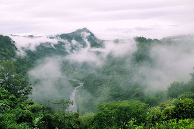 Una mañana fría con neblina en las montañas - Paisajes Naturales