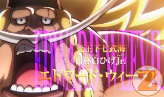 7 Fakta Edward Weevil One Piece, Anak Kandung Shirohige Yang Belum Pasti