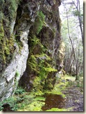 Stella Australis - Our Tour On An Island In Ainsworth Bay
