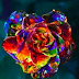 Multi  Colour  Rose  Wallpapers  For  Mobile