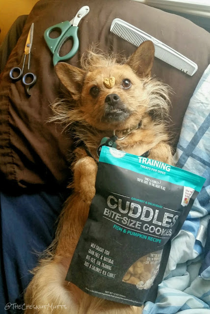 Mini Review: The Honest Kitchen Cuddles Dog Training Treats