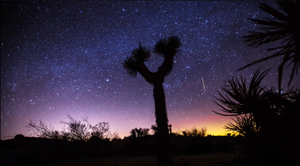 Joshua Tree National Park Stargazing