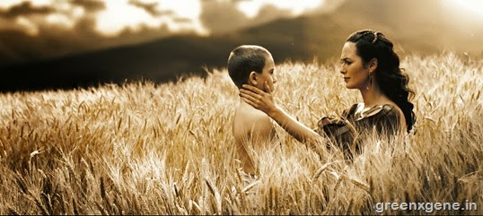 300 Movie Fields 300 Movie Fields