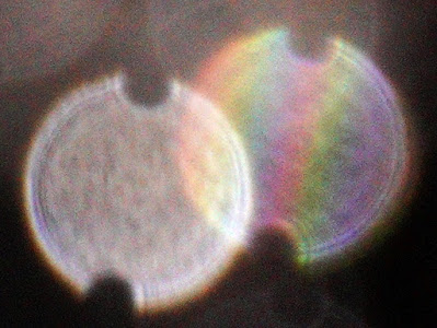 orb with two notches