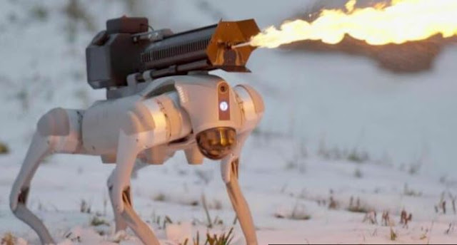 The world's first flame-throwing robotic dog