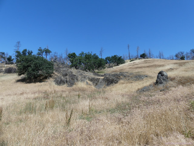 13: rocks and oaks in grass