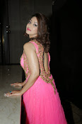 Payal Gosh Glamorous Pics at Gr8 Women Awards-thumbnail-12