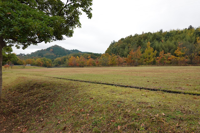 鳥取県西伯郡南部町鶴田　とっとり花回廊