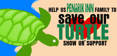 please help us to save our turtle! | Penarik Inn