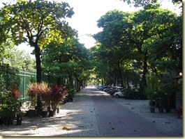 DSC00929