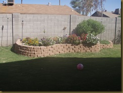PA040047