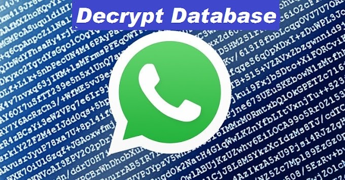 How to Decrypt WhatsApp crypt12 Database Messages | Tricks