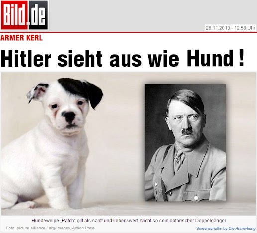 Hitler sieht aus wie Hund!