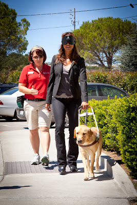 Apprentice Instructor Arleen Jordan guides CSI Miami star Eva LaRue on a blindfold walk with a yellow Lab Guide Dog