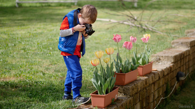 Bambino che fotografa tulipani