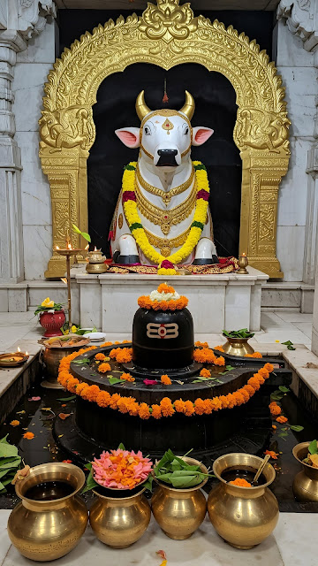 Original Shivling Images