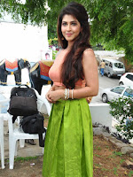 SONARIKA BADORIA STILLS AT  VISHNU MOVIE LAUNCH