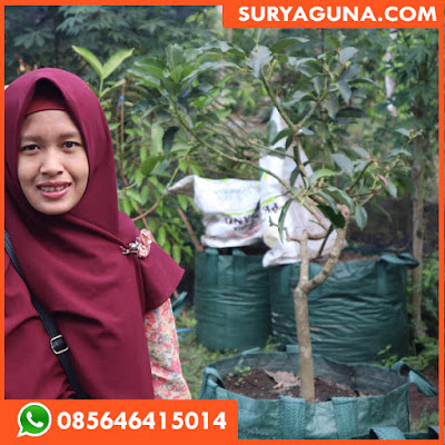 Planter Bag dari Suryaguna 085646415014
