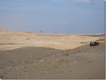 12-29-2009 041 Saqqara - view of Giza pyramids