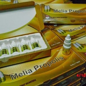 Propolis melia sehat sejahtera