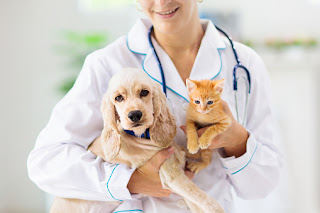 Animal Healthcare