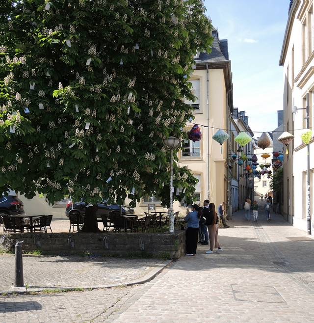 Luxemburg: afscheid van Luxemburg-stad