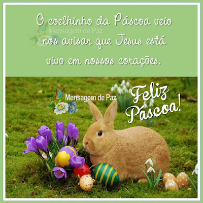 O coelhinho da Páscoa veio nos avisar que  Jesus está vivo em nossos corações. Feliz Páscoa!