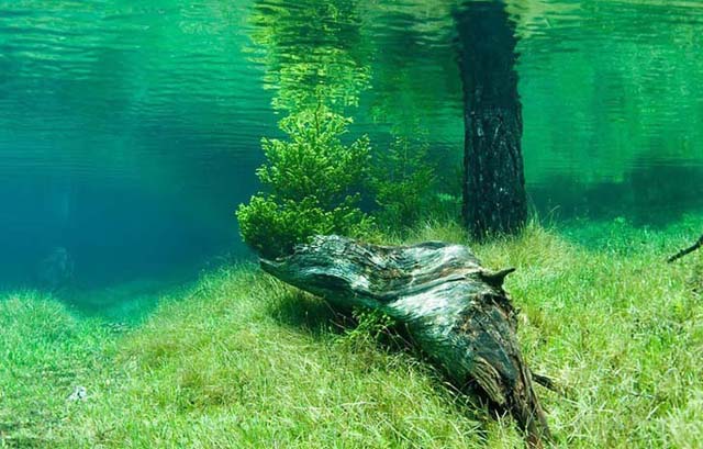 As belezas do Lago Verde na Áustria