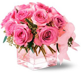 You can gift these pink rose