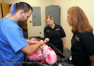 SynDaver Labs Kilang Membuat Tisu Badan Manusia di Florida