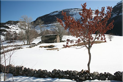 Estampa invernal en las Cabañas de Valnera