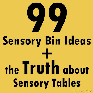 The Truth about Sensory Tables (a sensory gift guide- part 1) from In Our Pond