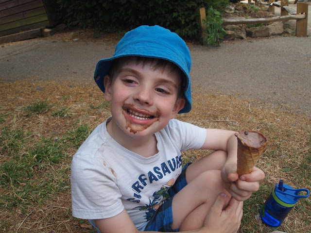Godstone Farm, Surrey Review - Food & Drink - Ice cream