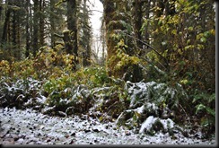 DSC_0075 DSC_0075