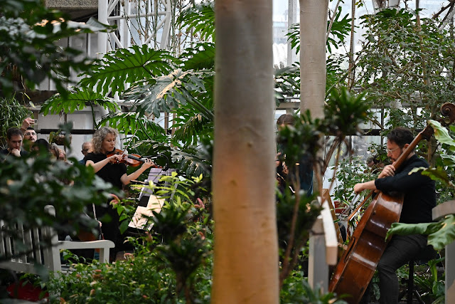 The Greenhouse Effect - Nonclassical at the Barbican Conservatory (Photo: Mark Allan / Barbican)