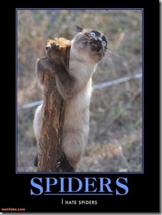 hate spiders