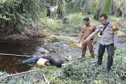 Seorang Pria Penyetrum Ikan Tewas di Sungai Lembat Pelalawan