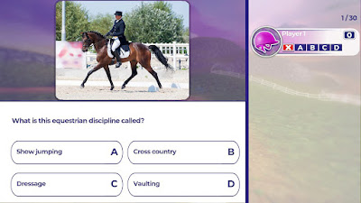Equestrian Training Game Screenshot 2